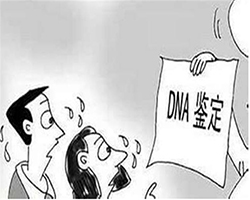 昆明哪个机构可以做DNA亲子鉴定，昆明办理亲子鉴定价格收费