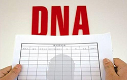 昆明匿名DNA亲子鉴定流程是什么，昆明个人亲子鉴定需要怎么办理